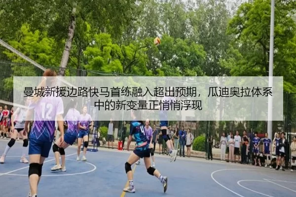 man-cheng-xin-yuan-bian-lu-kuai-ma-shou-lian-rong-ru-chao-chu-yu-qi-gua-di-ao-la-ti-xi-zhong-de-xin-bian-liang-zheng-3-554.jpg
